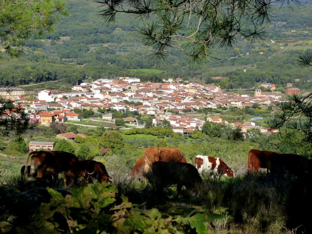 Apartamentos Rurales Entre Fuentes Cuacos De Yuste Exterior photo